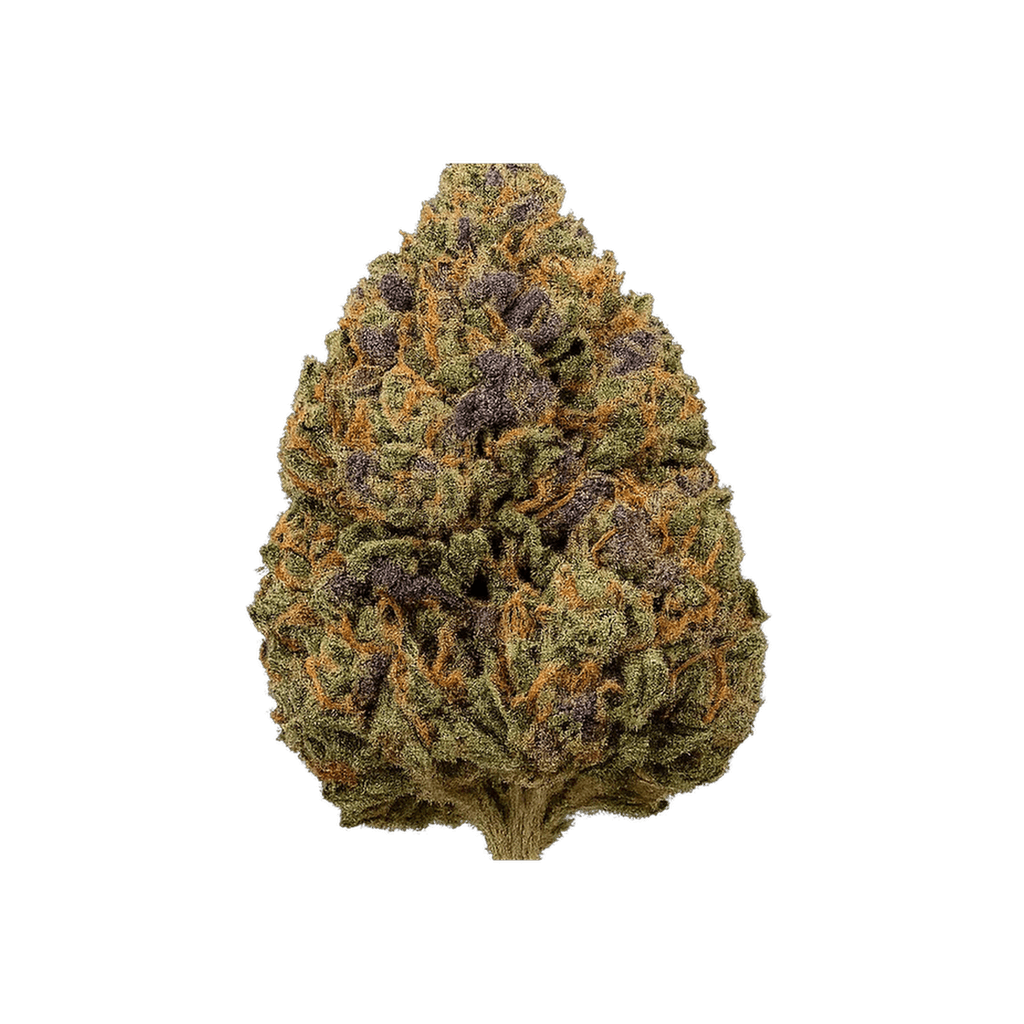Blueberry Xtrem