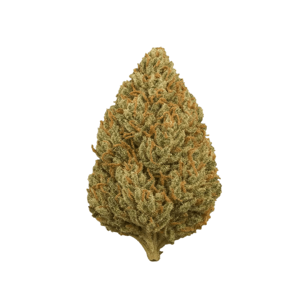Vanilla Xtrem
